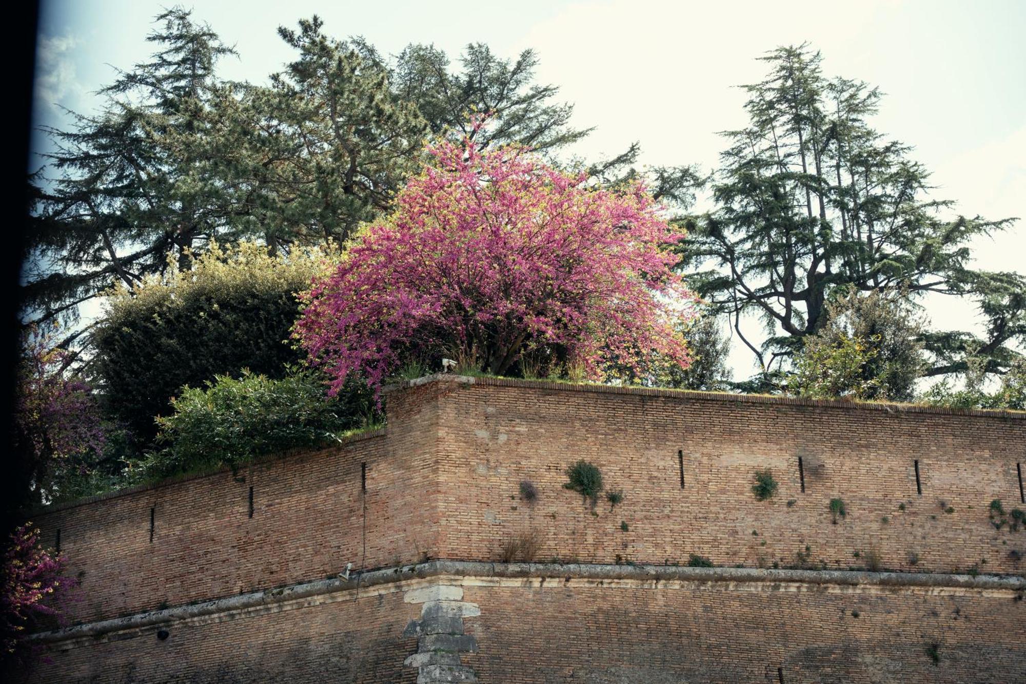 Art House Vaticano Luxury Apartment 罗马 外观 照片